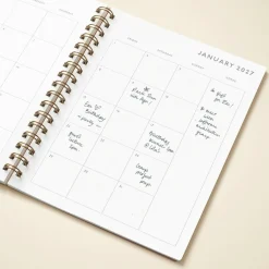 Animal Kingdom