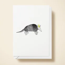 Armadillo