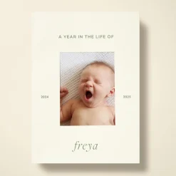 A Year in the Life