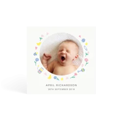 Baby Basics