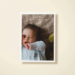Baby Border