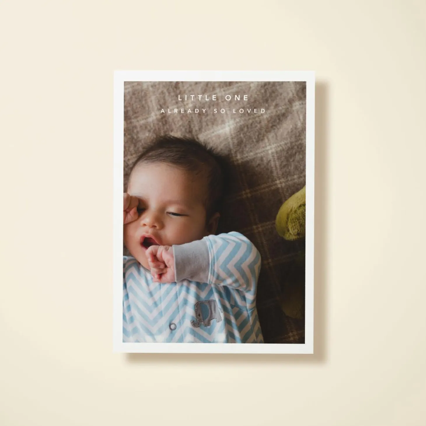 Baby Border