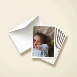Baby Border