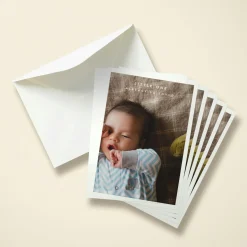 Baby Border