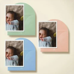 Baby Border