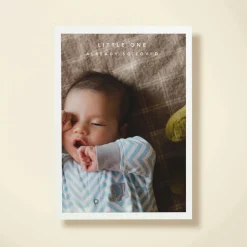 Baby Border
