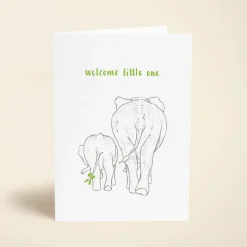 Baby Elephant