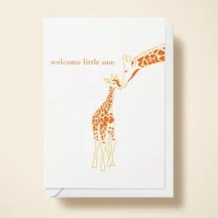 Baby Giraffe