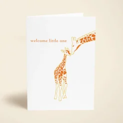Baby Giraffe