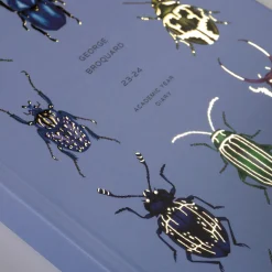 Beetles