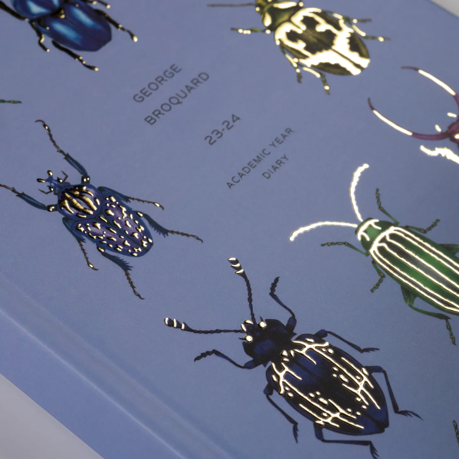 Beetles