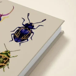 Beetles