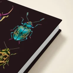 Beetles