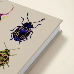 Beetles