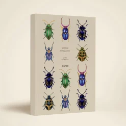 Beetles