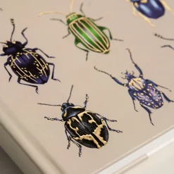 Beetles