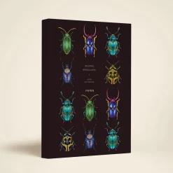 Beetles