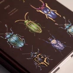 Beetles