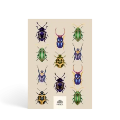 Beetles