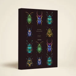 Beetles