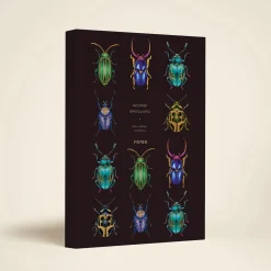 Beetles