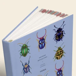 Beetles