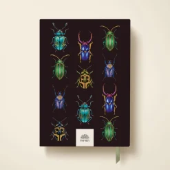 Beetles