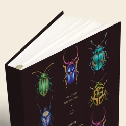 Beetles