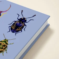 Beetles