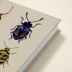 Beetles