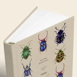 Beetles