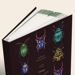 Beetles