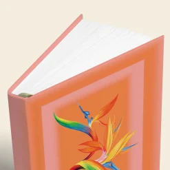 Bird of Paradise