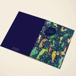 Birds of Paradise