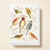 Birthday Birds