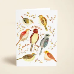 Birthday Birds