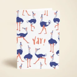 Birthday Ostrich
