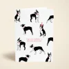 Birthday Terrier