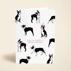 Birthday Terrier