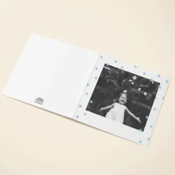 Blue Daisy Scatter