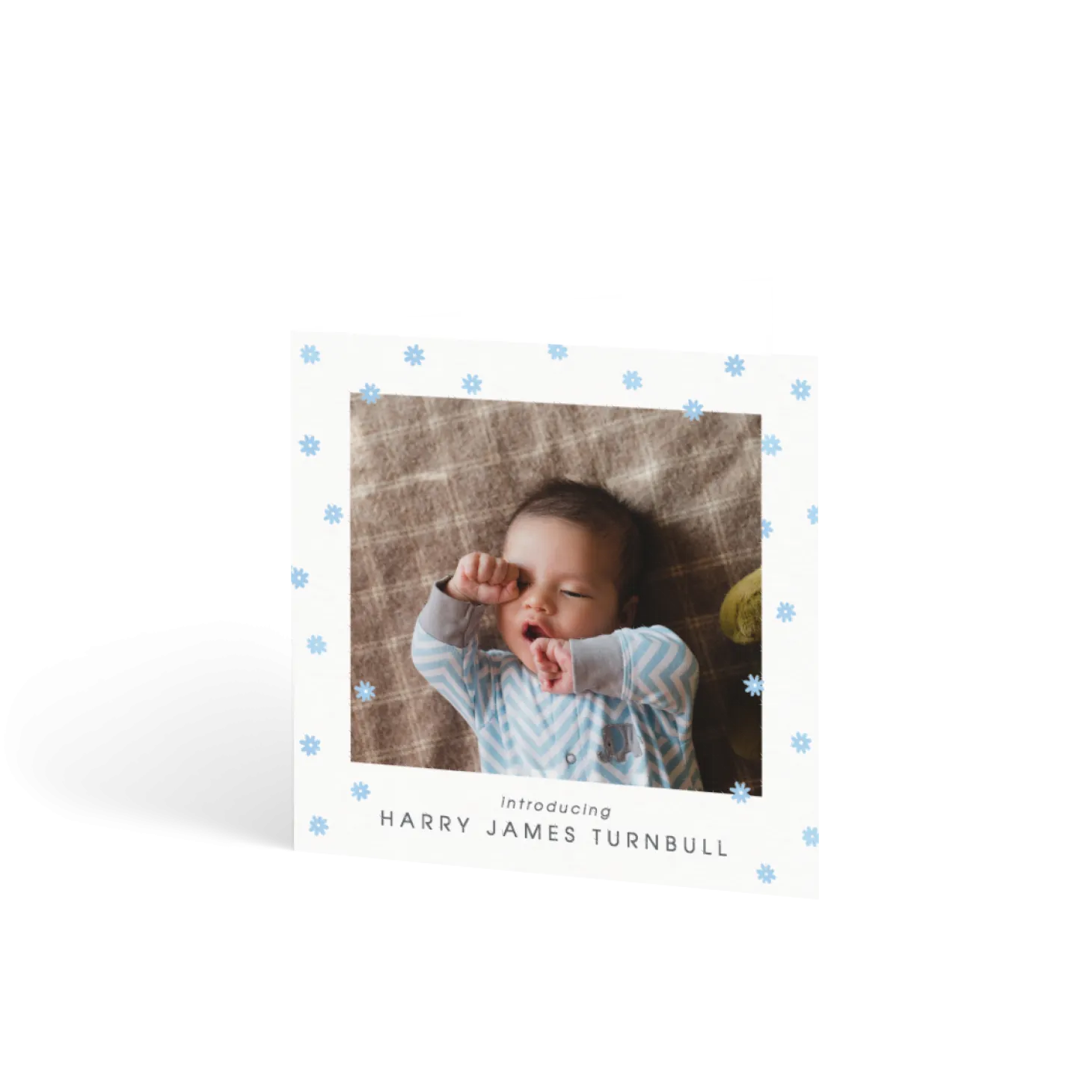 Blue Daisy Scatter