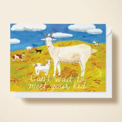 Can't Wait To Meet Your Kid
