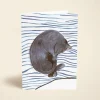 Cat Nap