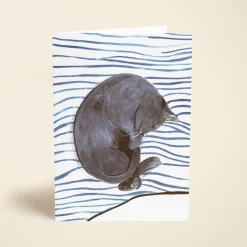 Cat Nap
