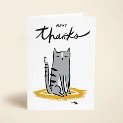 Cat On The Mat