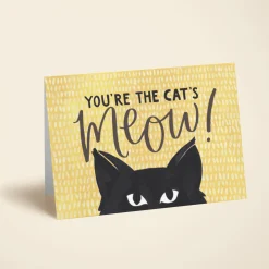 Cat's Miaow