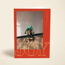 Christmas Joy Photo