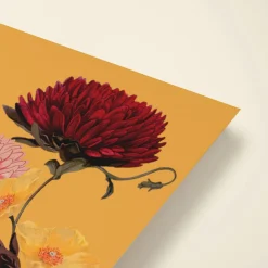 Chrysanthemum