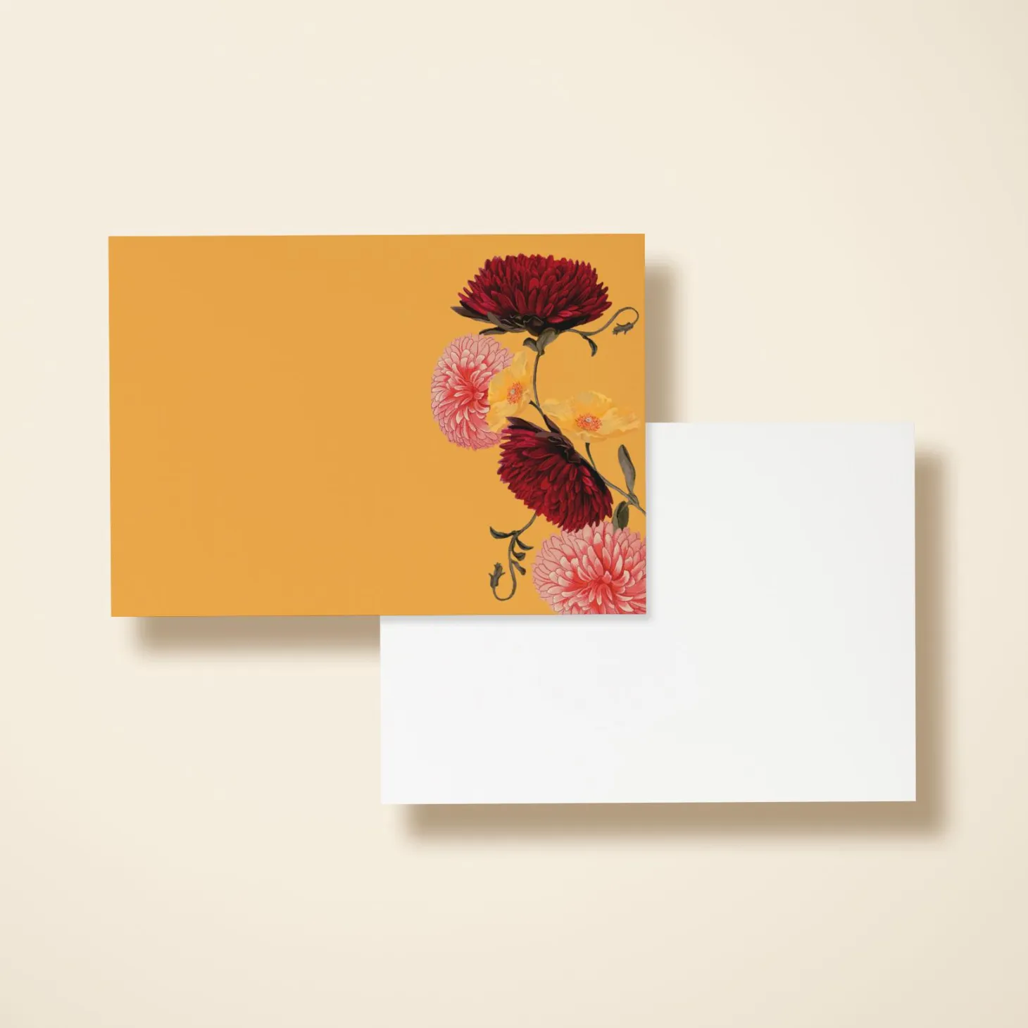 Chrysanthemum
