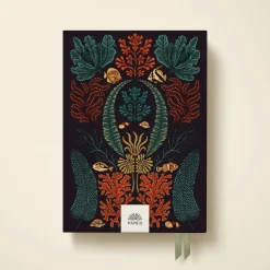 Coral Reef